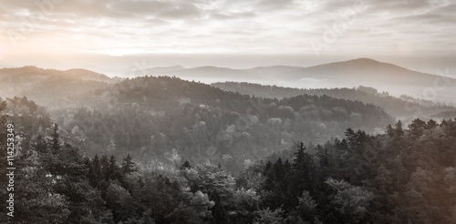 Trees and mountain range against cloudy sky