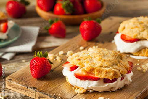 Obraz na plátne Homemade Strawberry Shortcake with Whipped Cream