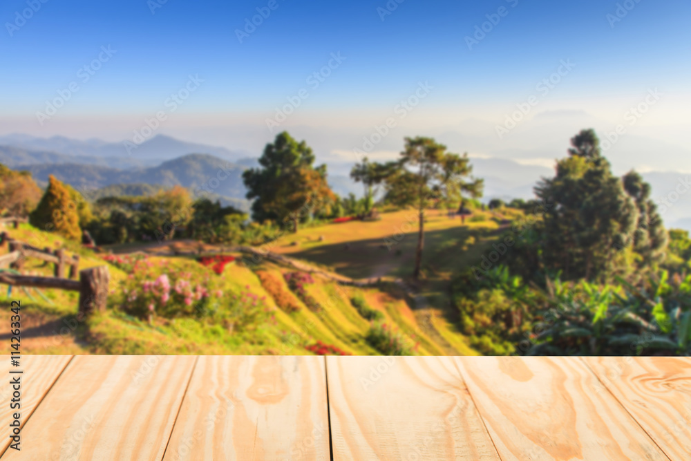 Wood table top on mountain forest background