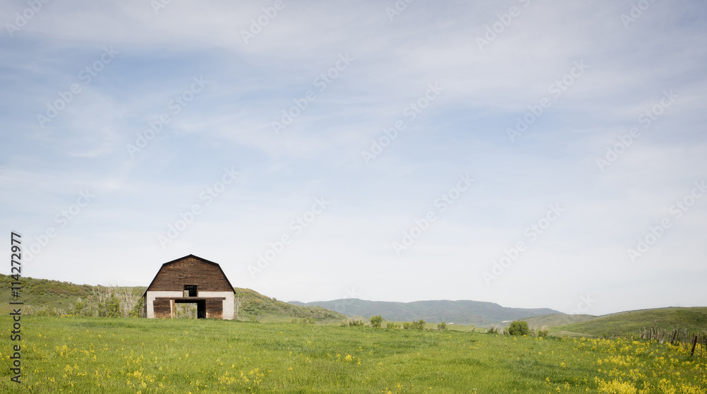 Old Barn in a Meadow in Steamboat Springs, Colorado