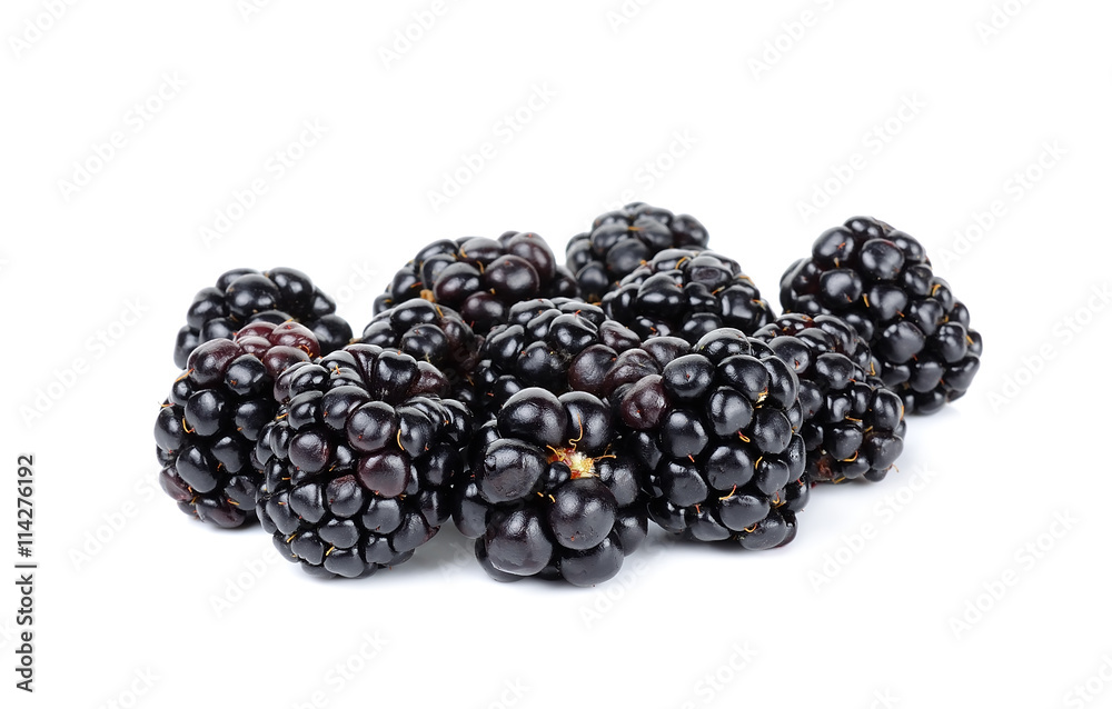 blackberry isolated on the white background blackberry isolated on the white background