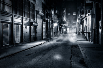 Fototapete New York Cortlandt Alley in Chinatown bei Nacht  © mandritoiu
