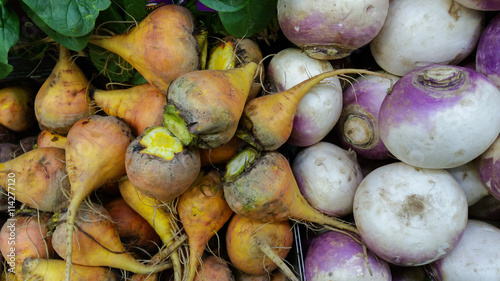 Organic golden beets and white turnips