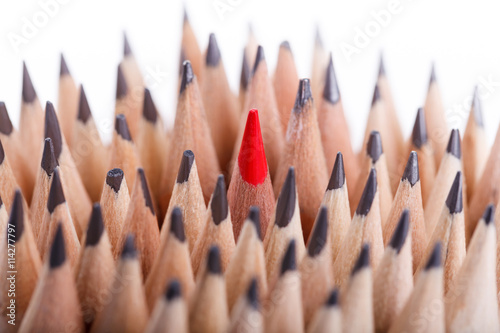 One sharpened red pencil among many ones