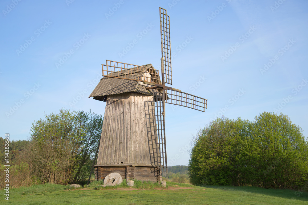 Obraz premium Old windmill in the Mikhailovskoye, may morning. Pushkinskiye Gory