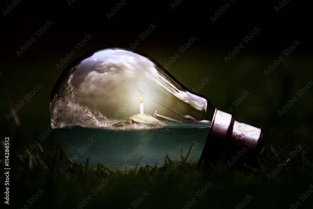 Fototapeta premium Schildkröte in Glühbirne