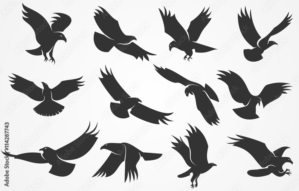 Obraz premium Vector set of silhouettes of eagles isolated on a gray background
