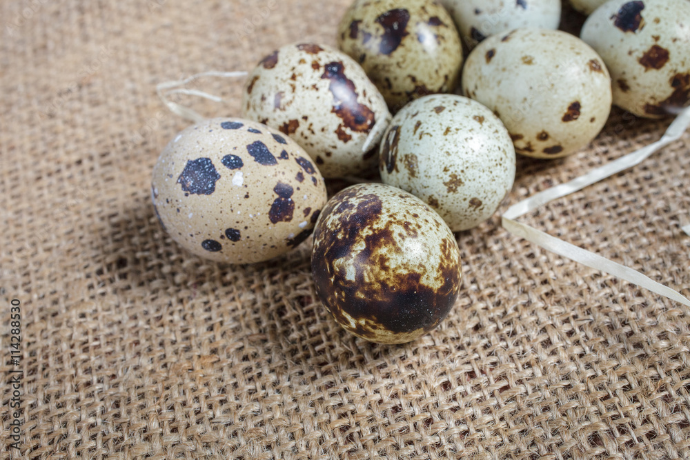Obraz premium Quail eggs on of burlap cloth