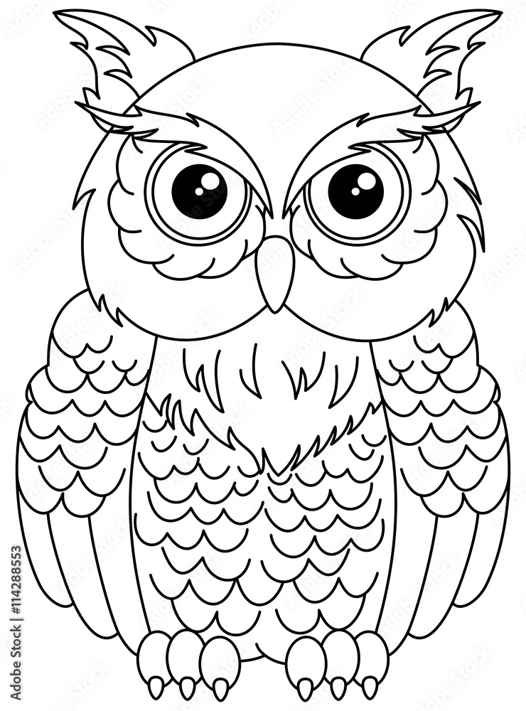 Филин раскраска для детей распечатать owls sitting for coloring Векторне зображення Stock Adobe Stock