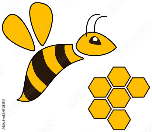 bee with alveolus