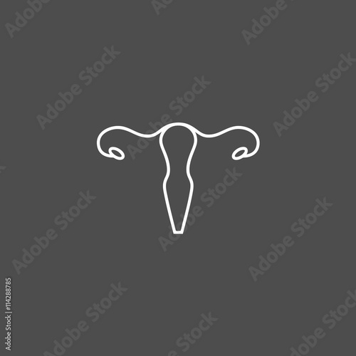 Vector uterus outline icon