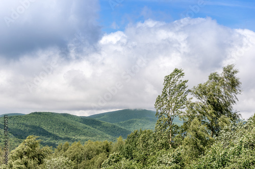 Fototapeta Naklejka Na Ścianę i Meble -  Bieszczady widziane zza drzew