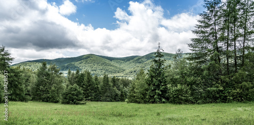 Fototapeta Naklejka Na Ścianę i Meble -  Widok na Bieszczady