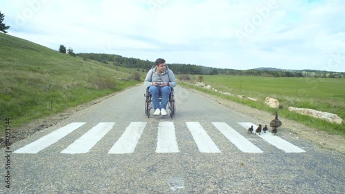 Handicapped man in a wheelchair look at mother duck and ducklings crossing the road on the white lines