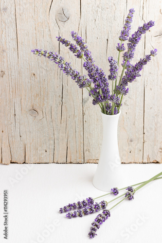 White vase with fresh lavender flowers