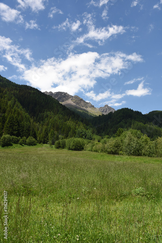 montagna montagne paesaggio di montagna panorama di montagna cime bosco boschi  © franzdell