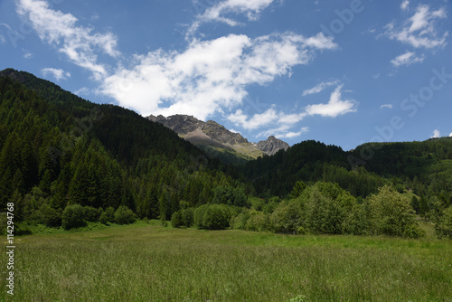 montagna montagne paesaggio di montagna panorama di montagna cime bosco boschi 