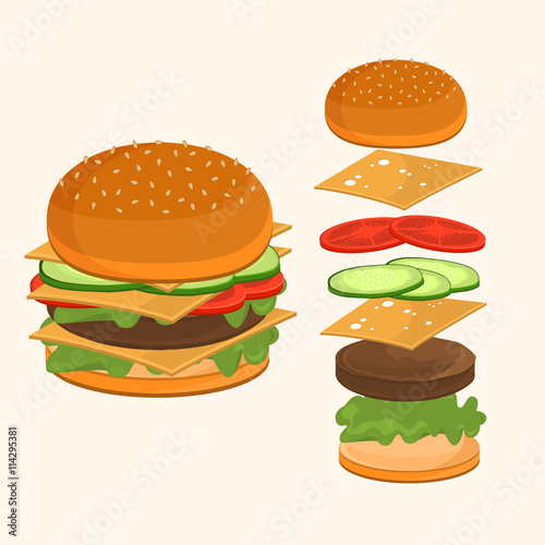 Fastfood. Hamburger ingredients vector illustration.