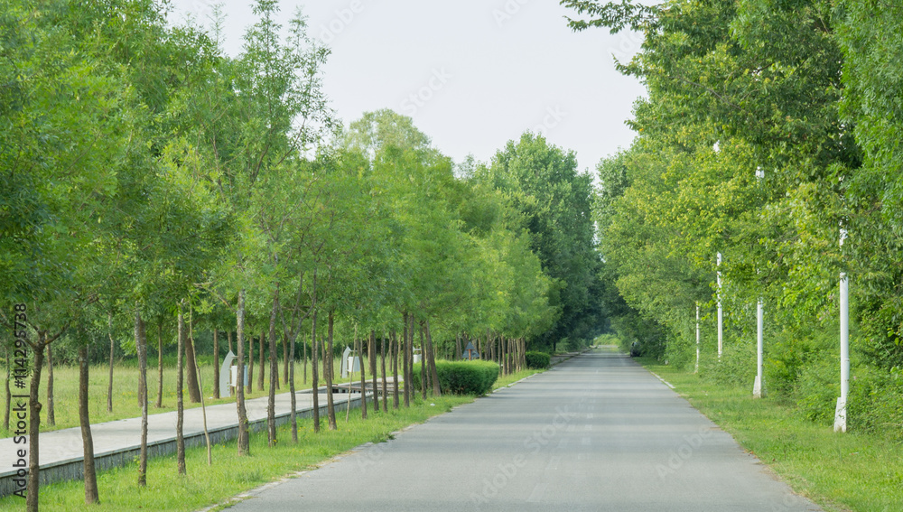 Road Road