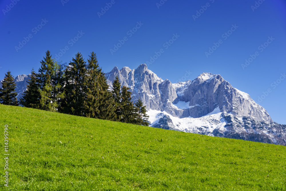Alpine scenery in spring, Wilder Kaiser, Kitzbühel, Tyrol, Austria