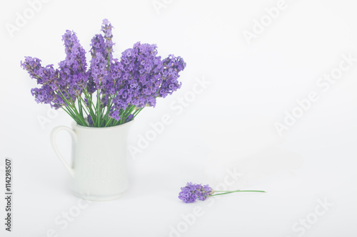 Fototapeta Naklejka Na Ścianę i Meble -  Bouquet of lavender in a white porcelain jug vase