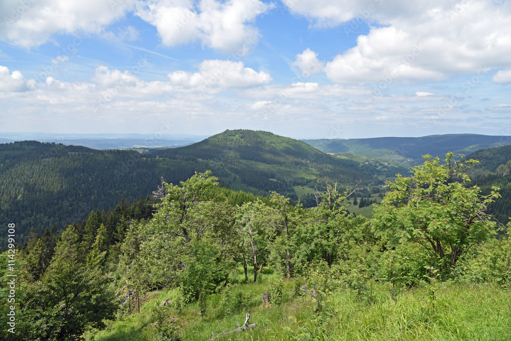 Haseltal / Thüringer Wald