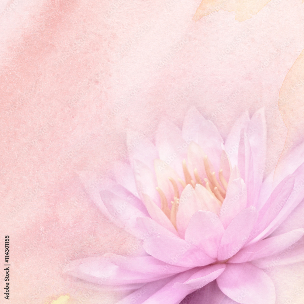 Fototapeta premium watercolor and flowers abstract background