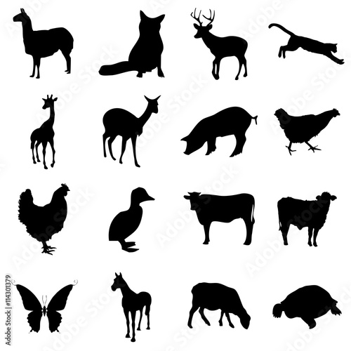 animales en silueta