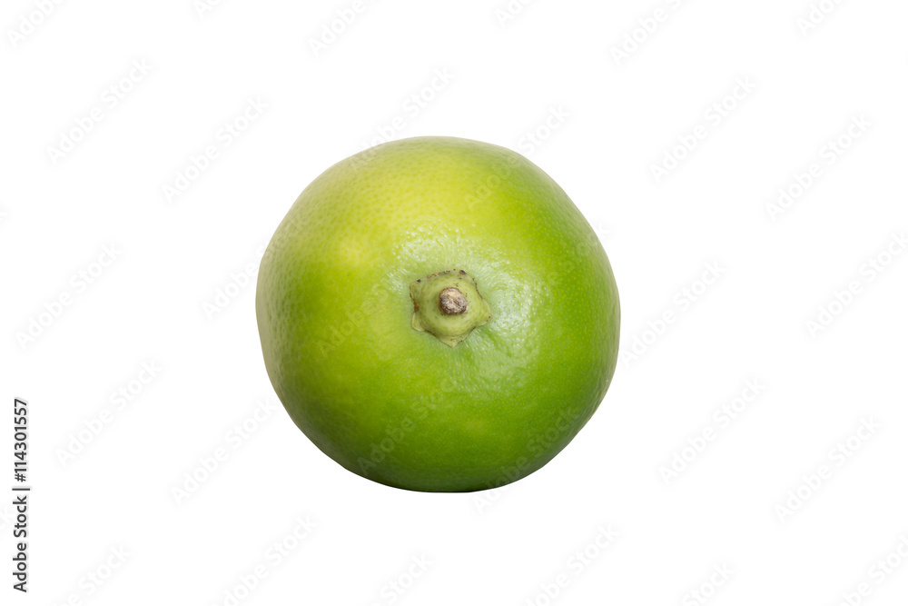 Green lime isolated on white background Green lime isolated on white background