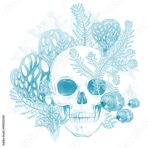 Composition with Skull, coral and fish on a white background.