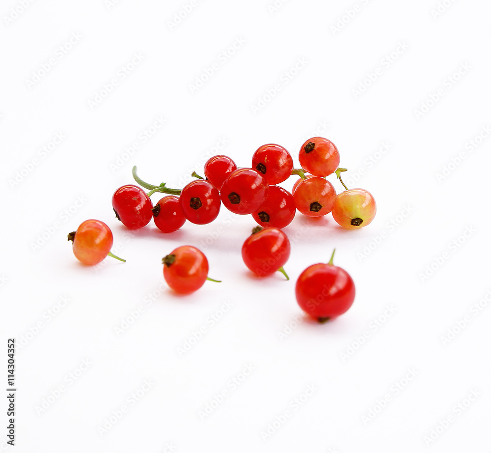 red currant on white