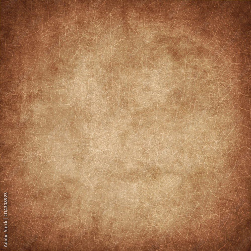 Fototapeta premium grunge background