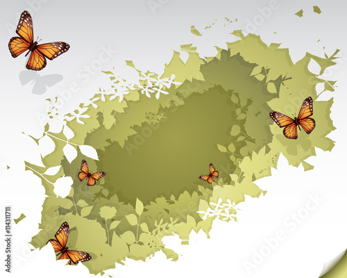 nature / floral background with butterfly