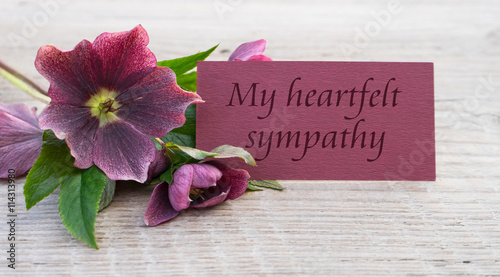 Photo my heartfelts sympathy / English Mourning card with purple hellebores