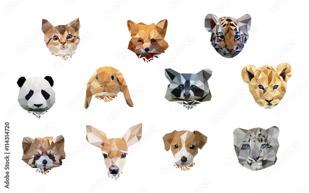 vector illustration animal polygon low poly. cute set animal Stock  Illustration | Adobe Stock