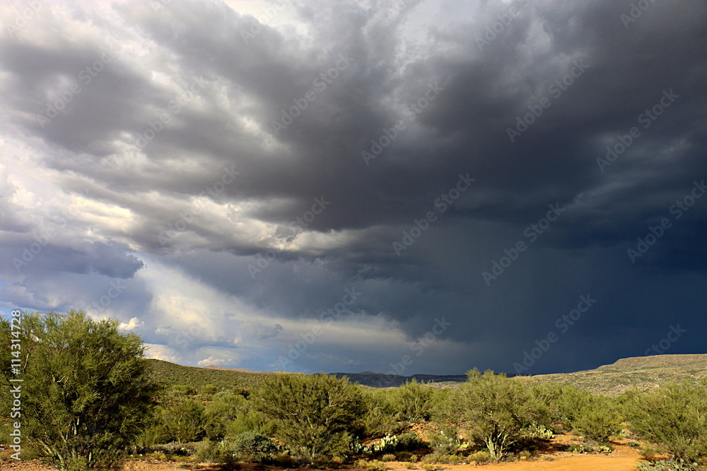 Sonora Desert Thunderstorm