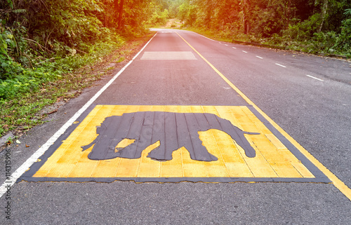 Beware of the elephant warning sign on asphalt road to tell that