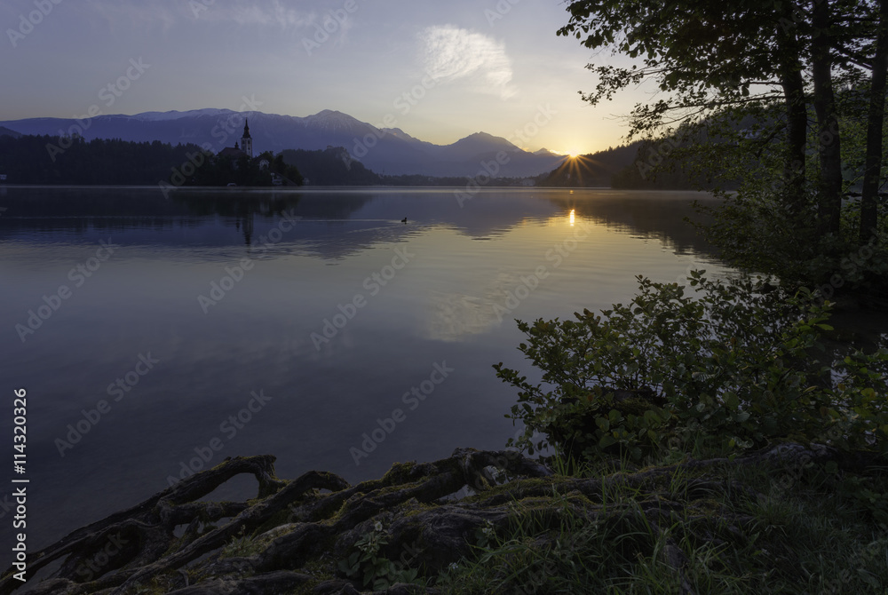 magical sunrise of Lake Bled with island