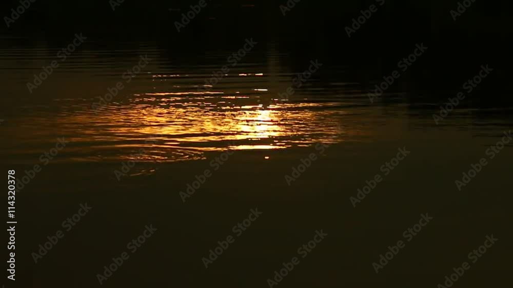 Golden water light Golden water light
