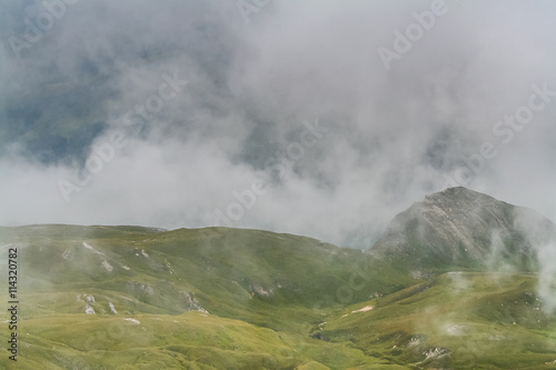 Lush meadows in the mountains in foggy weather