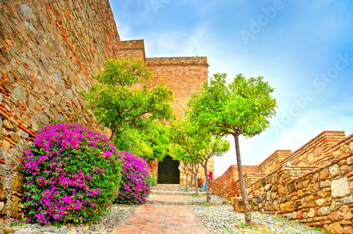 Traditional garden of citadel in Malaga, Spain