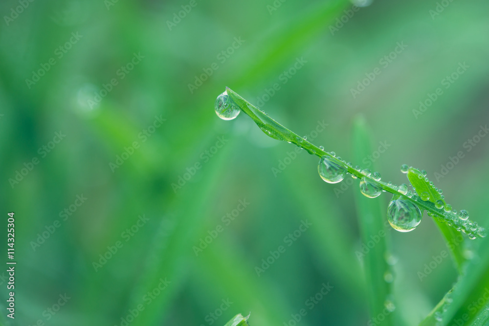 Kette aus Wassertropfen Kette aus Wassertropfen