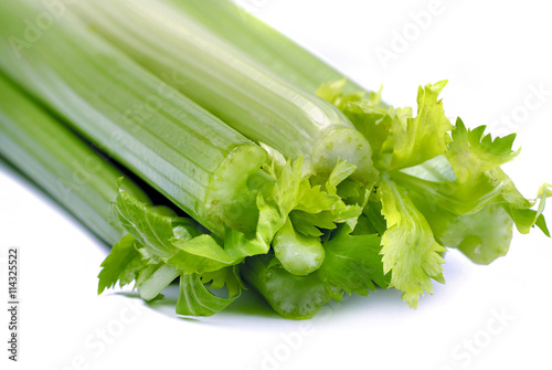 Celery on a white background