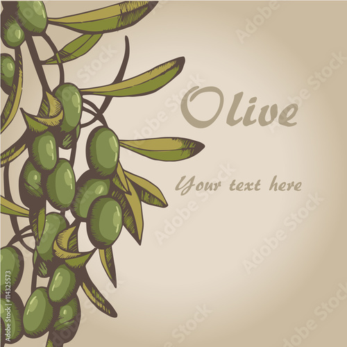 olive color 11
