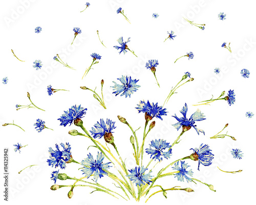 Cornflowers bouquet