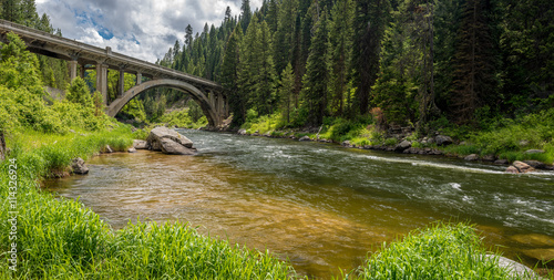 Idaho forest and river with a unique bridge
