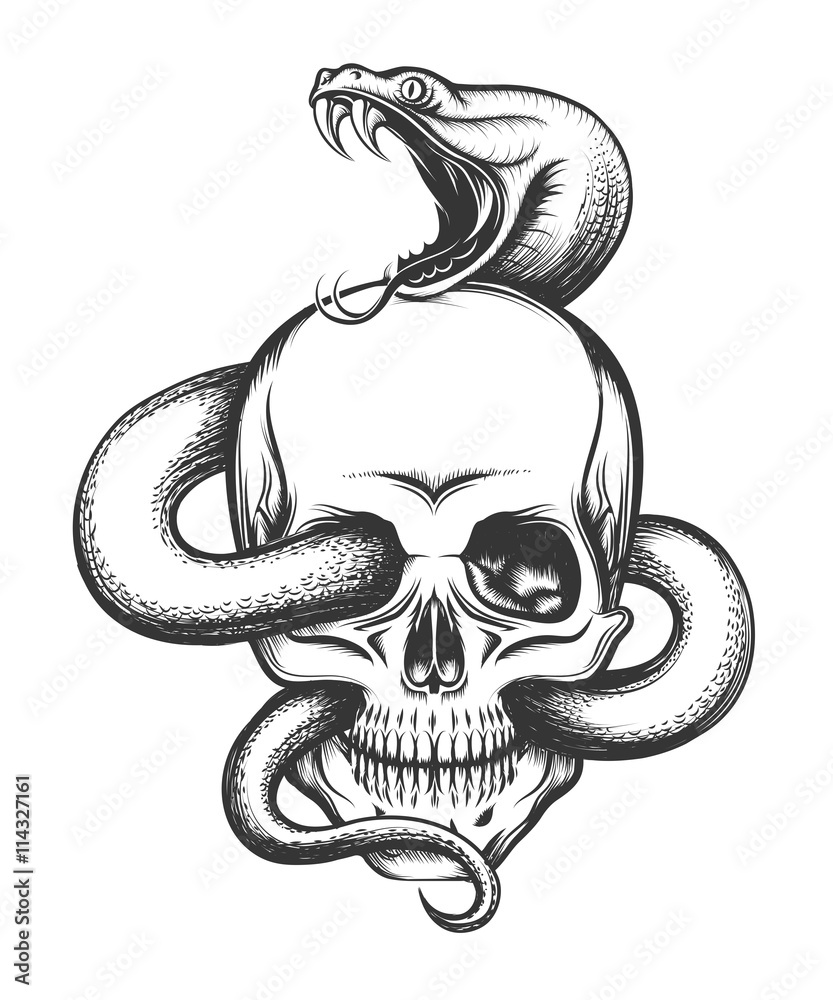 Naklejka Snake and Skull Engraving Illustration