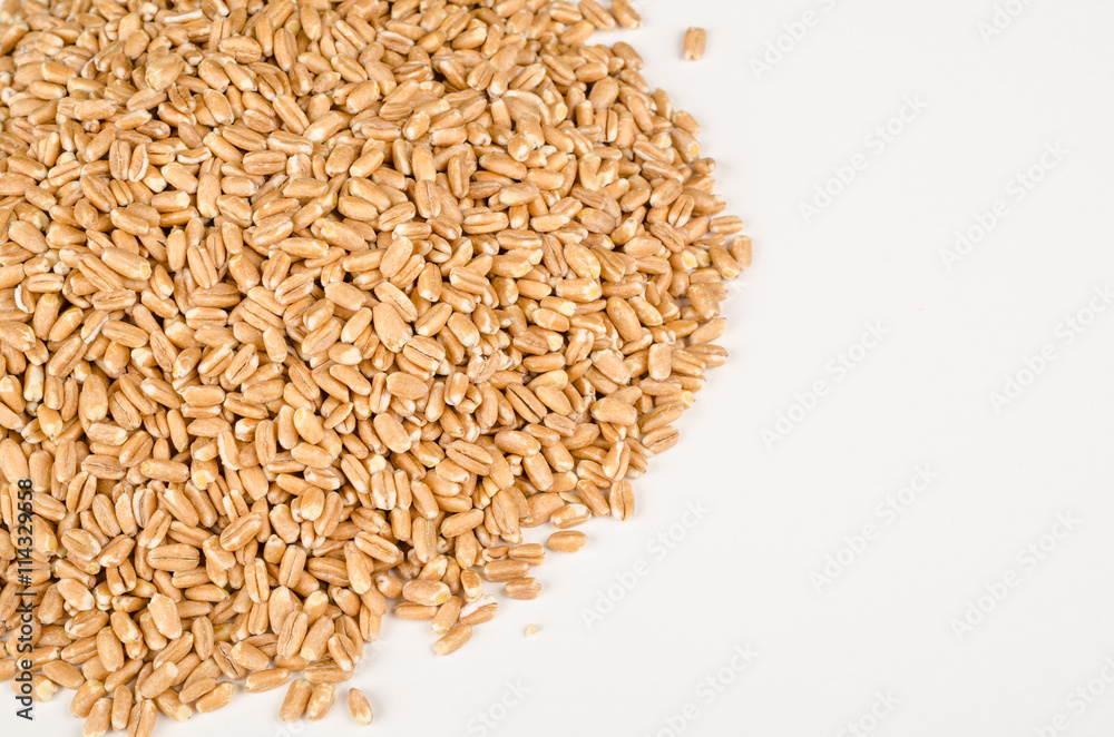 Spelt grain Spelt grain