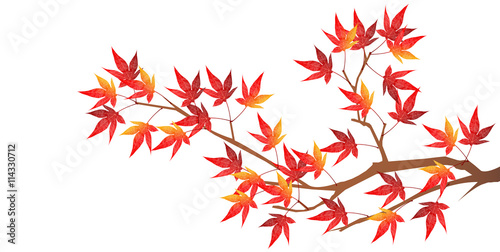 紅葉　秋　風景　背景