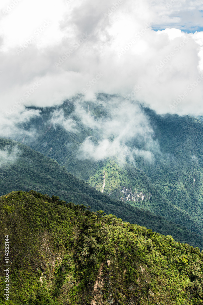 Tropical montane cloud forest, Ecuador east slope of Pichincha